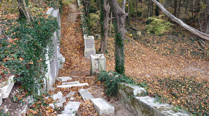 A photograph of a staircase in the ruined former estate of King Zog I of Albania
