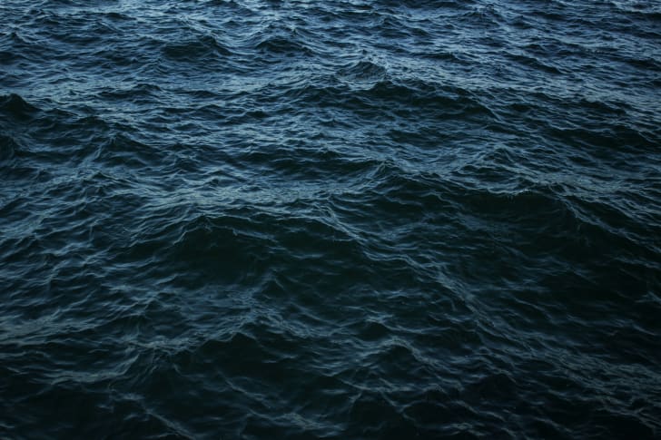 Dark ocean waters can be devoid of life