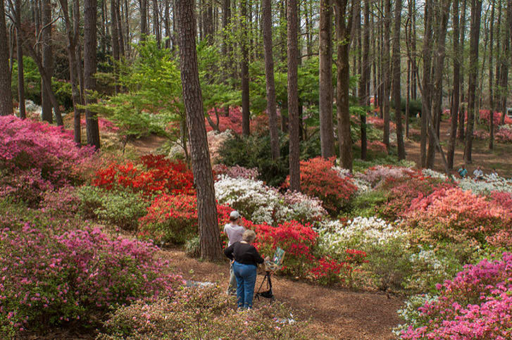 Conheça 10 dos jardins públicos mais lindos do mundo