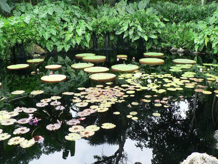 Conheça 10 dos jardins públicos mais lindos do mundo