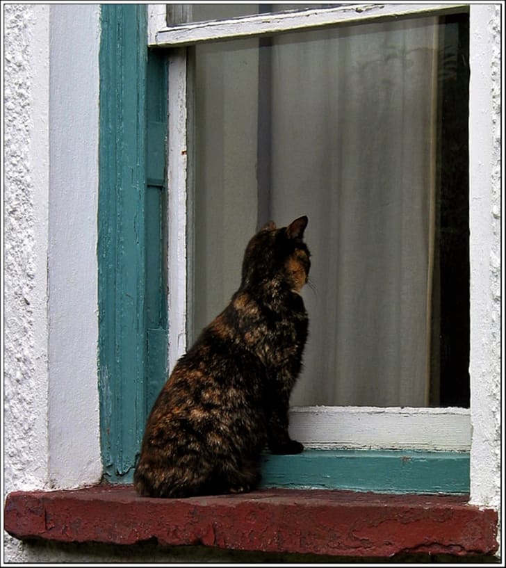 My Image 75