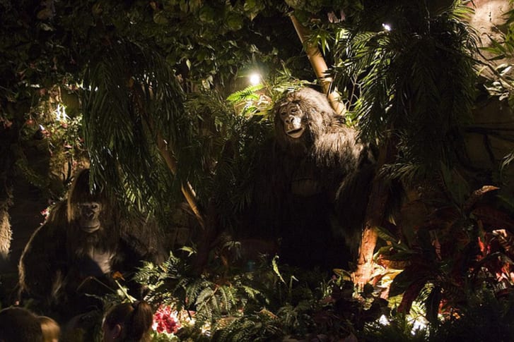 11 Things You Might Not Know About Rainforest Cafe Mental Floss