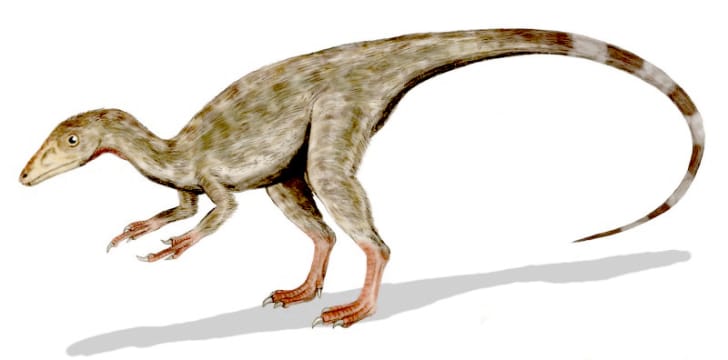 compsognathus size
