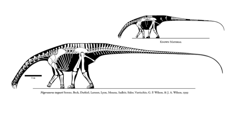 10 Fun Facts About Nigersaurus | Mental Floss