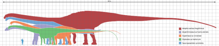 the isle diplodocus