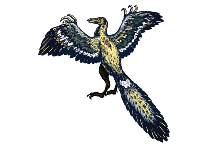 10 Facts About Archaeopteryx | Mental Floss