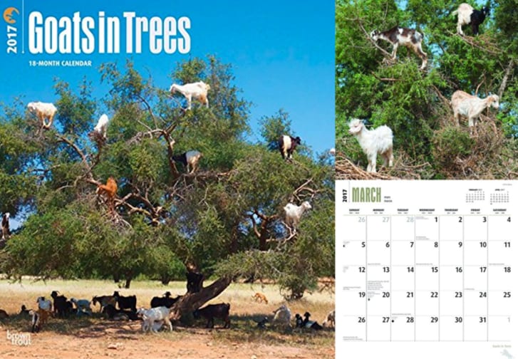 17 Fun And Unusual Calendars To Put Up Next Year Mental Floss