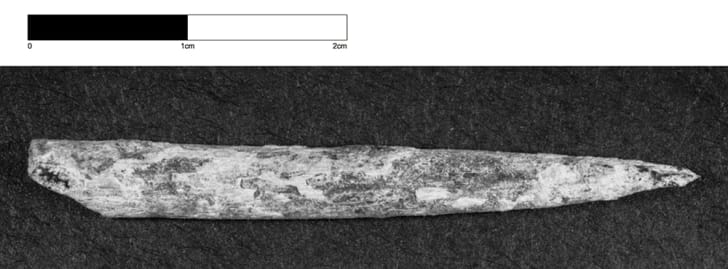 Archaeologists Find 49 000 Year Old Artifacts In Australia S Interior Mental Floss