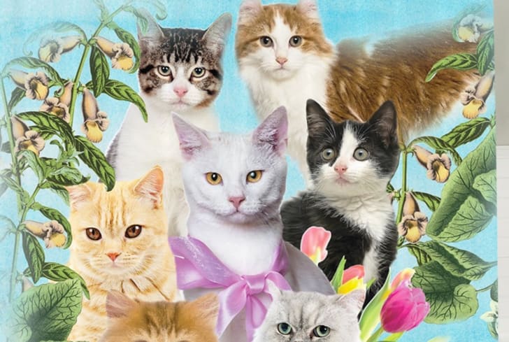 15 Unusual Shower Curtains To Liven Up Your Bathroom