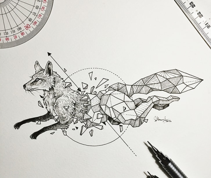 Artist Pairs Wildlife With Geometry To Create Stunning Lively Drawings Mental Floss