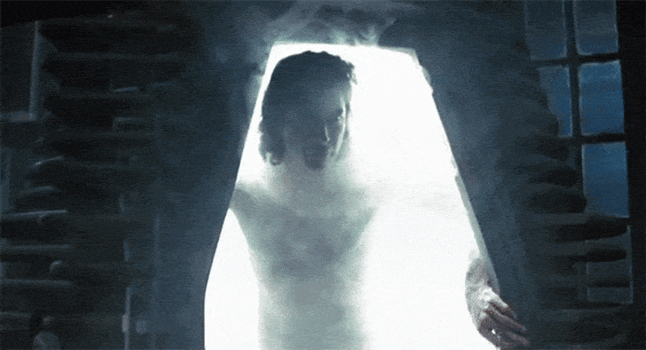 11 Transformative Facts About The Fly Mental Floss New trending gif on giphy. 11 transformative facts about the fly