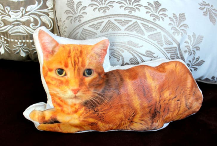 custom pillow with pet picture