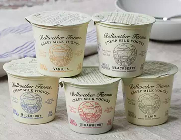 10 Non-Cow Milk Products You Can Try | Mental Floss