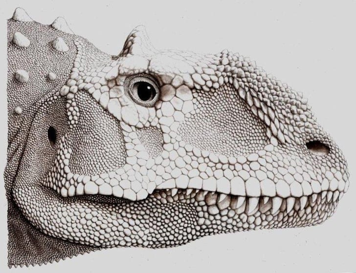 majungasaurus skeleton
