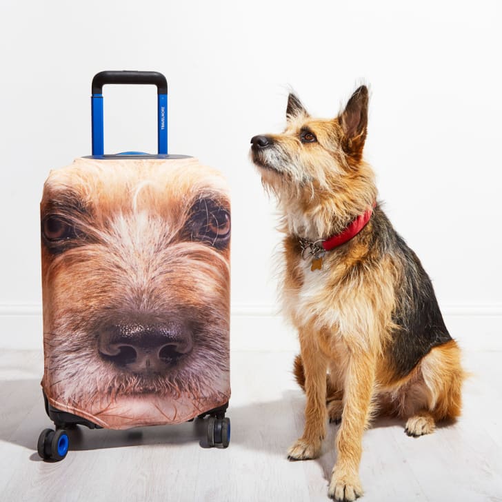 Dog next to luggage with dog's face on it.