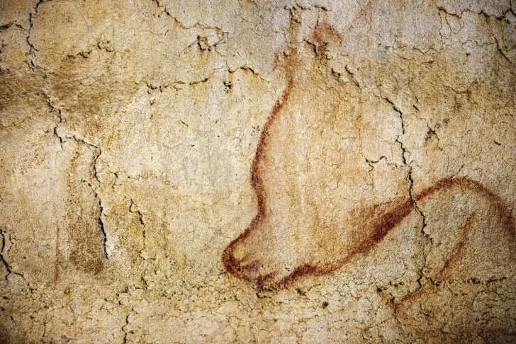 13 Facts About The Chauvet Cave Paintings Mental Floss