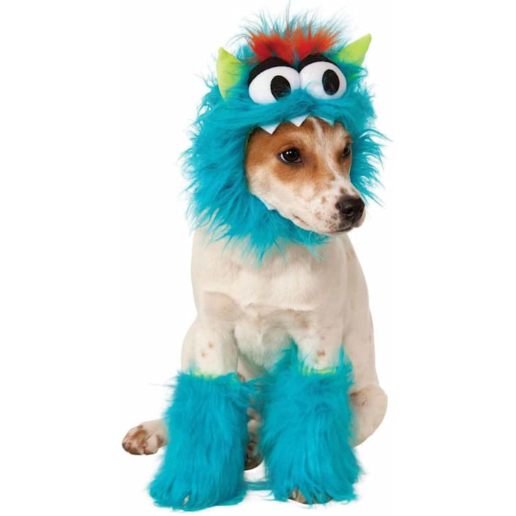 Best dog and cat Halloween costumes. Best dog and cat Halloween costumes.