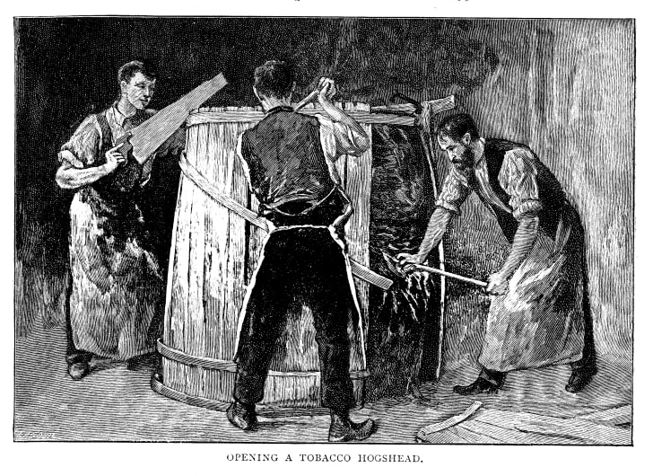 Black and white engraving of three men opening a hogshead barrel