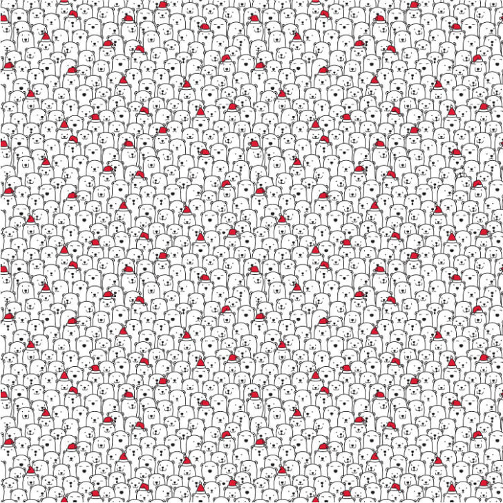 Dog and Polar Bear Hidden Image Picture 