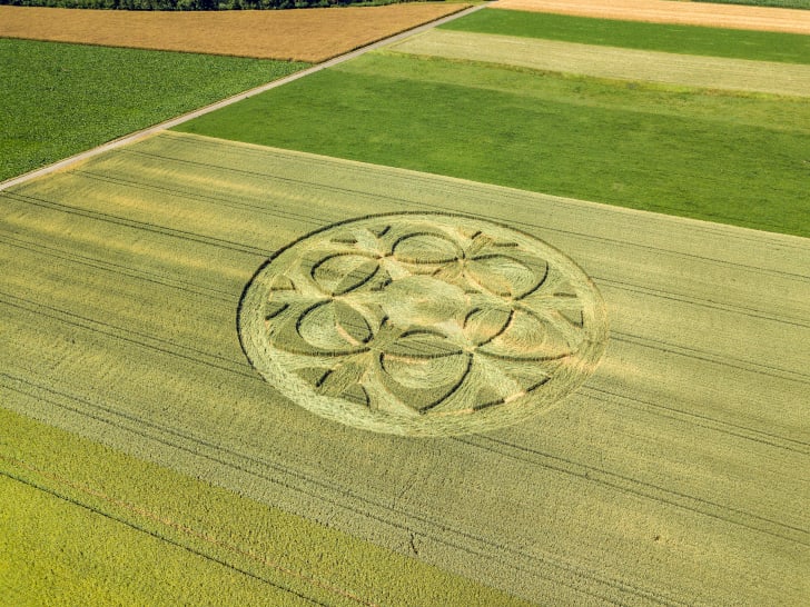An ornate crop circle in the middle of a field