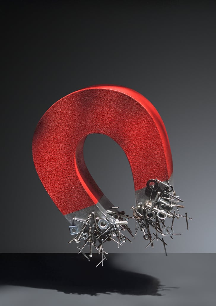 horseshoe magnet