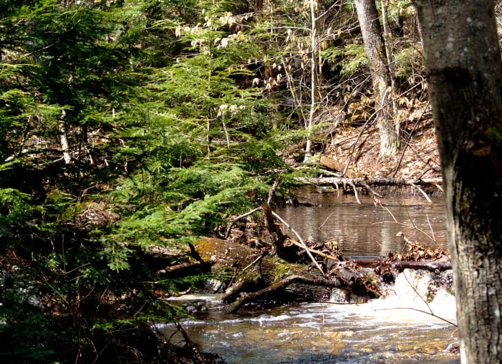 Bear Brook State Park.