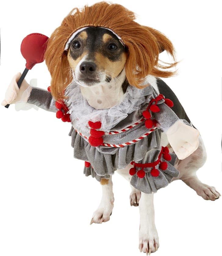 Best Halloween Costumes For Your Dog Mental Floss