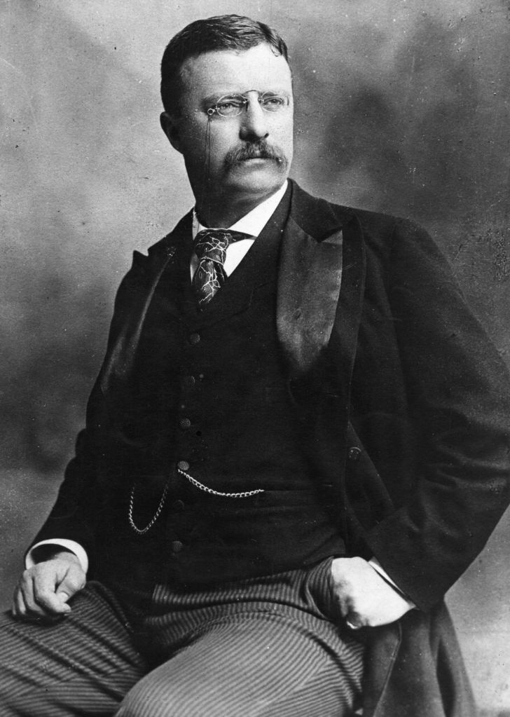 Portrait of Theodore Roosevelt
