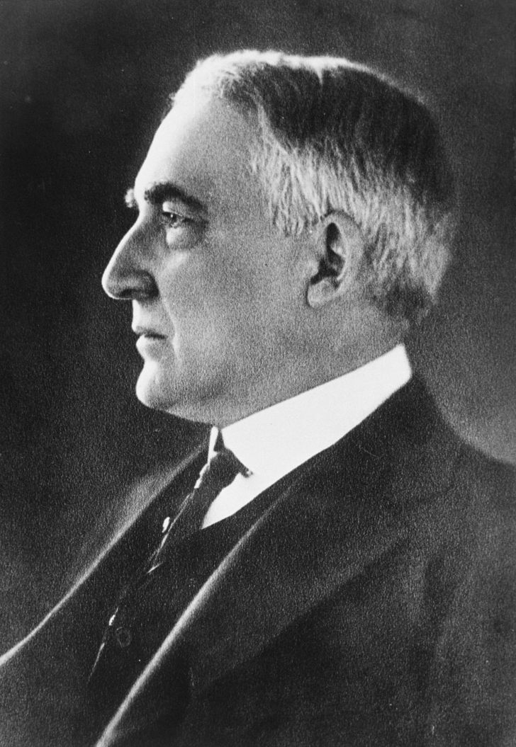 Portrait of Warren G. Harding
