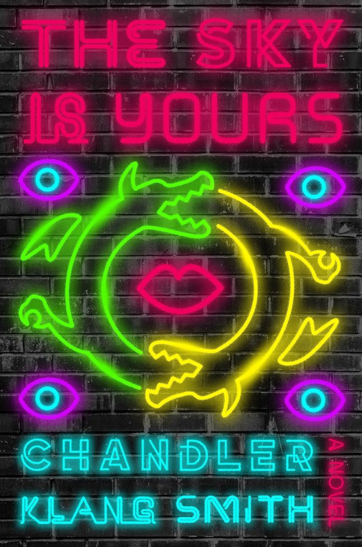 An image of the cover of the book The Sky is Yours.