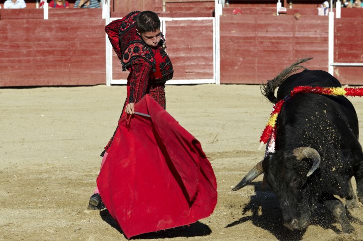 A matador in the arena with a bull.