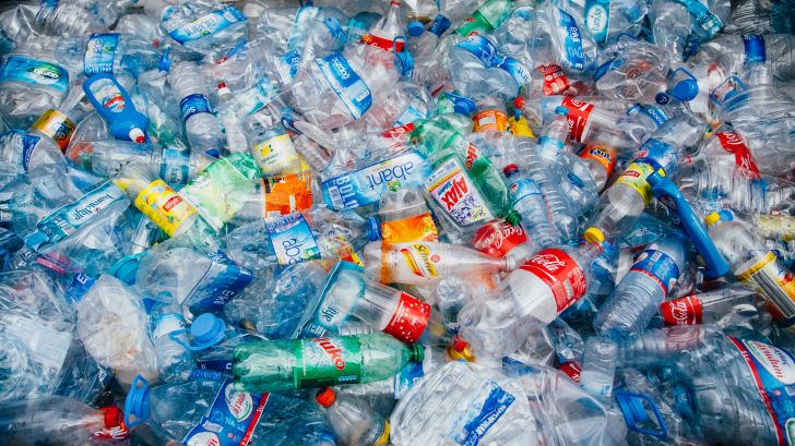 A collection of discarded plastic bottles