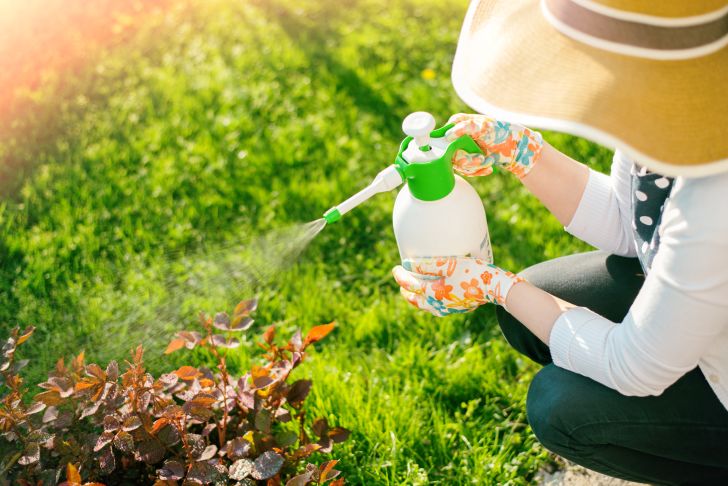 Woman spraying plants in her garden