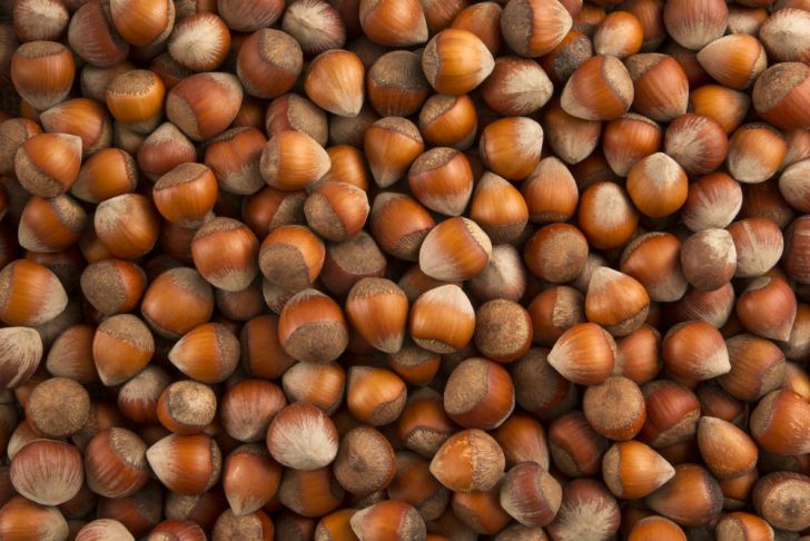 A pile of hazelnuts are pictured