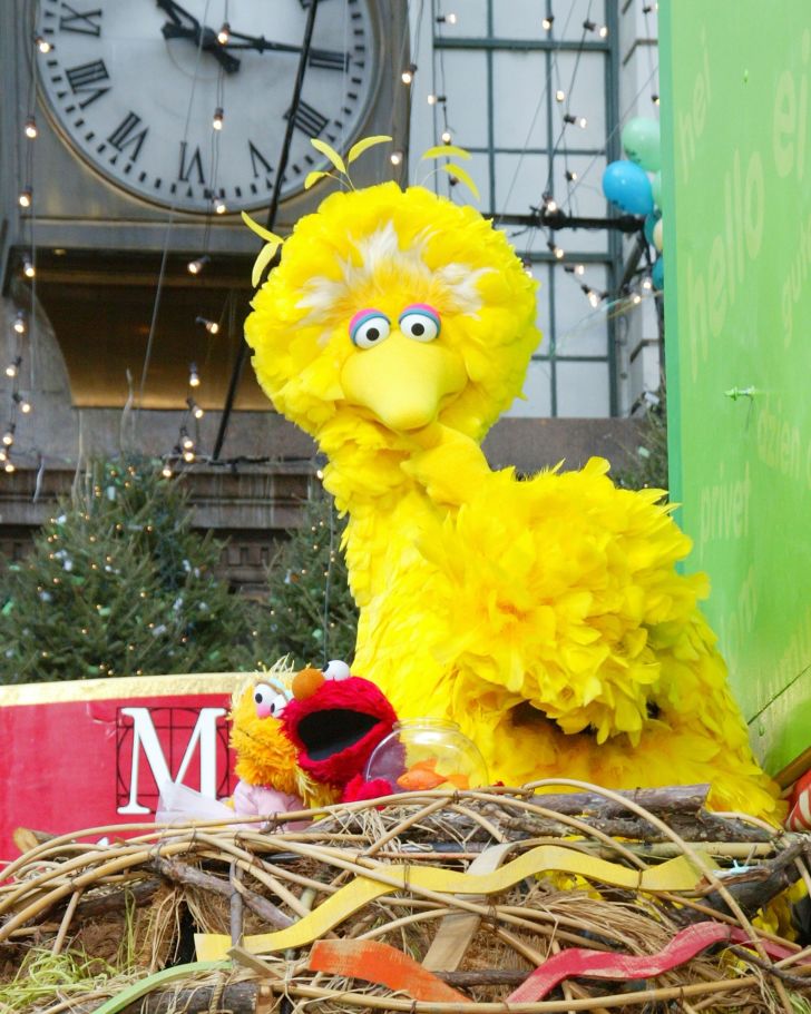 Big Bird and Elmo at the Macy's Thanksgiving Day Parade.
