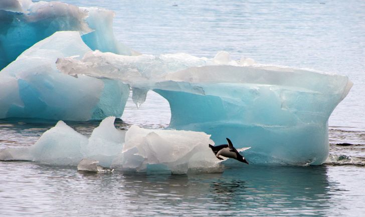 Antarctica