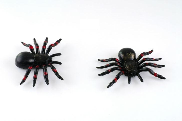 Two toy spiders await their chance to freak someone out