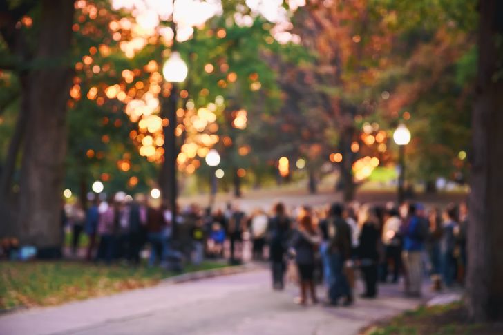 gathering in a park