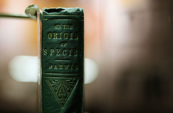 598617-dankitwood-gettyimages-84704687.jpg A copy of Charles Darwin's 'On the Origin of Species' sits on display at Down House in Orpington, England in February 2009