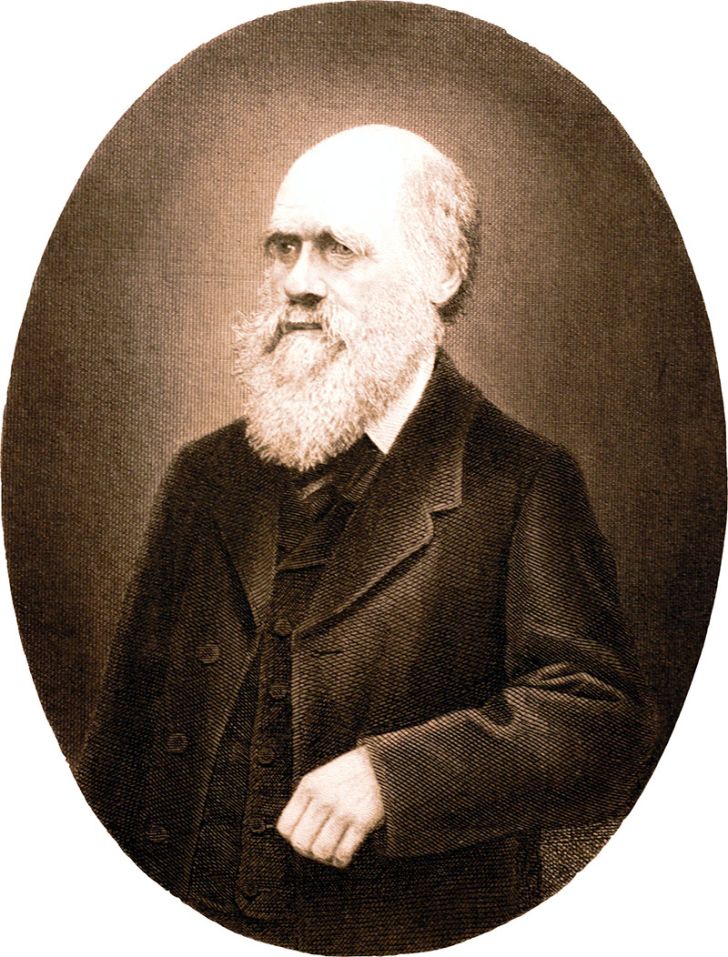 Charles Darwin Biography & Facts: Theory Of Evolution, Books, And Children