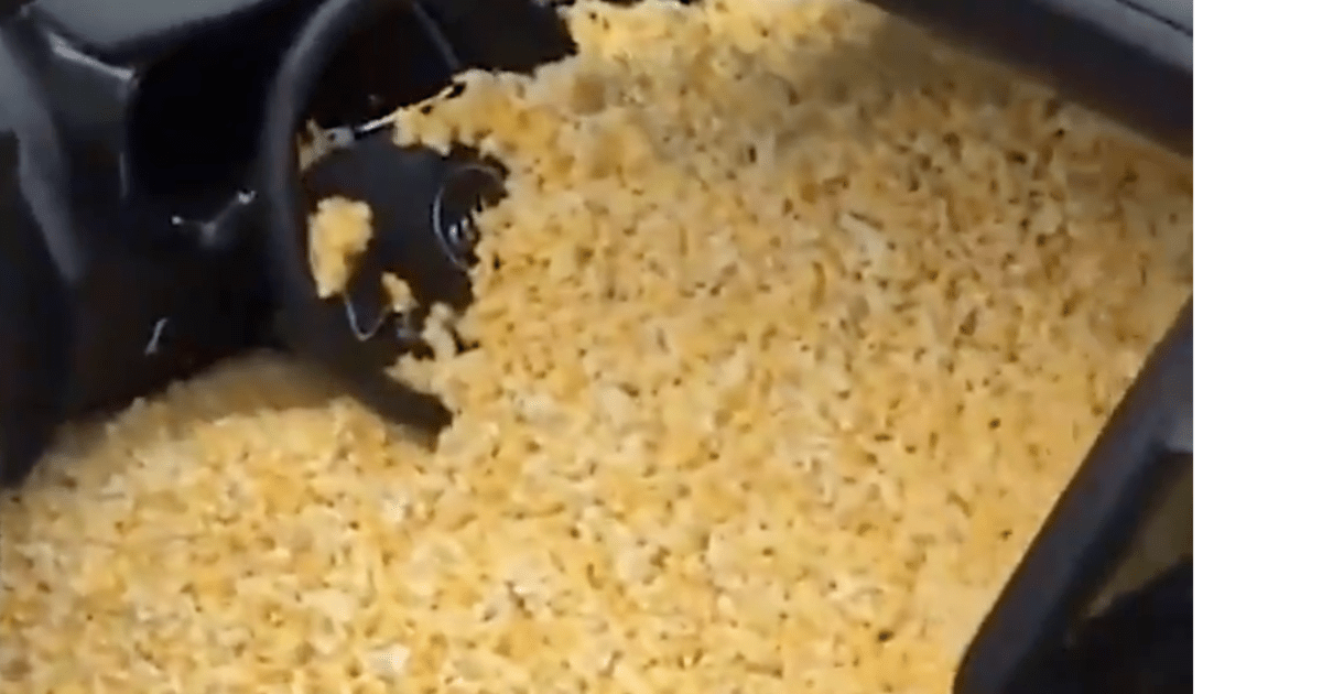 GRACIOUS: Fellow rookie Trae Young filled his Audi with popcorn