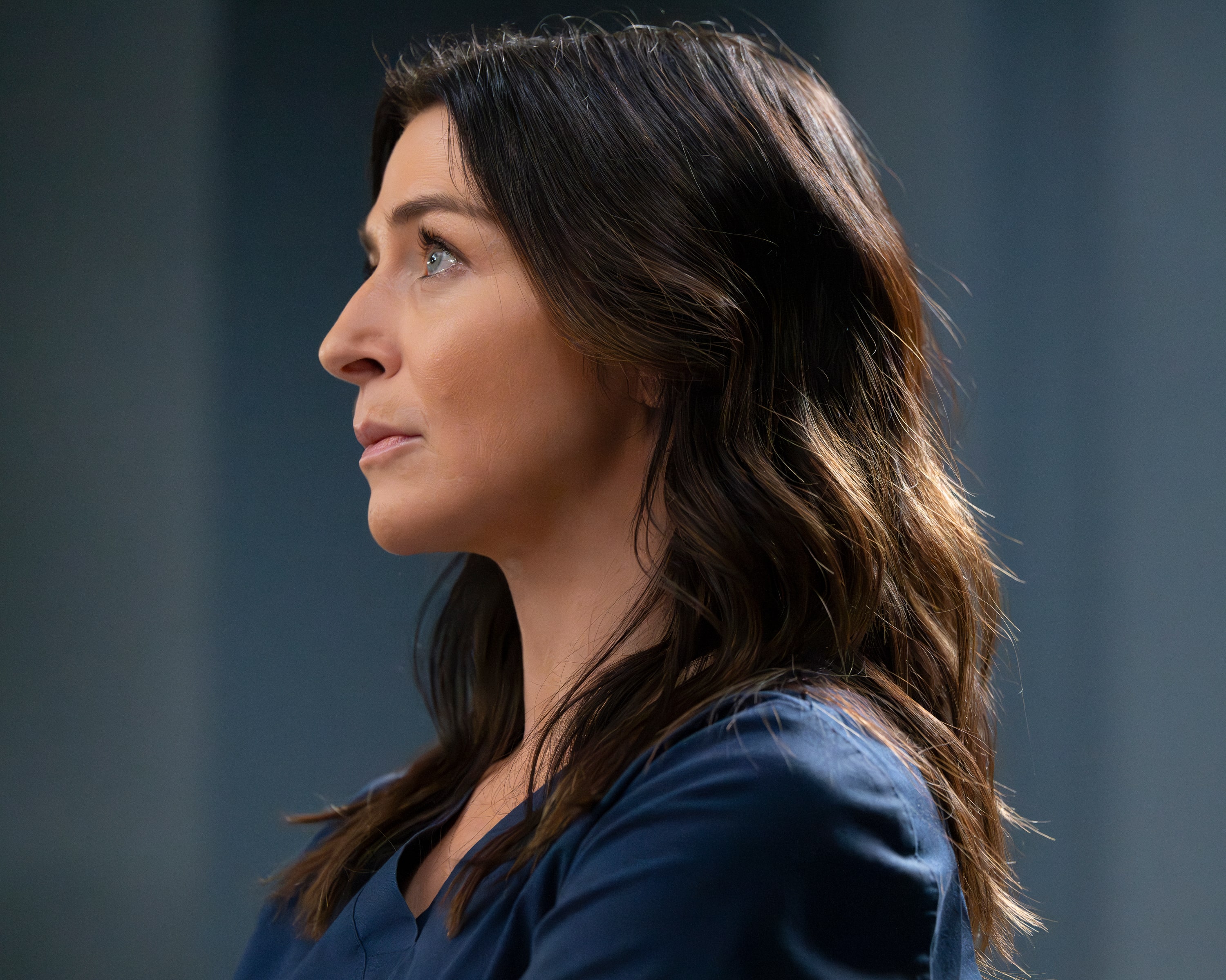 Grey's Anatomy season 22