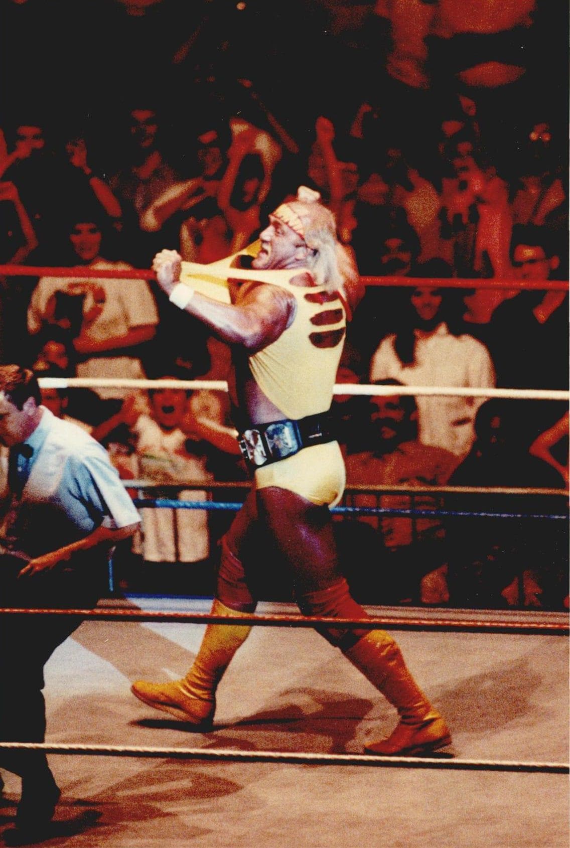 Professional wrestler Hulk Hogan rips off his shirt, much to the delight of the vocal crowd at the Myriad. 