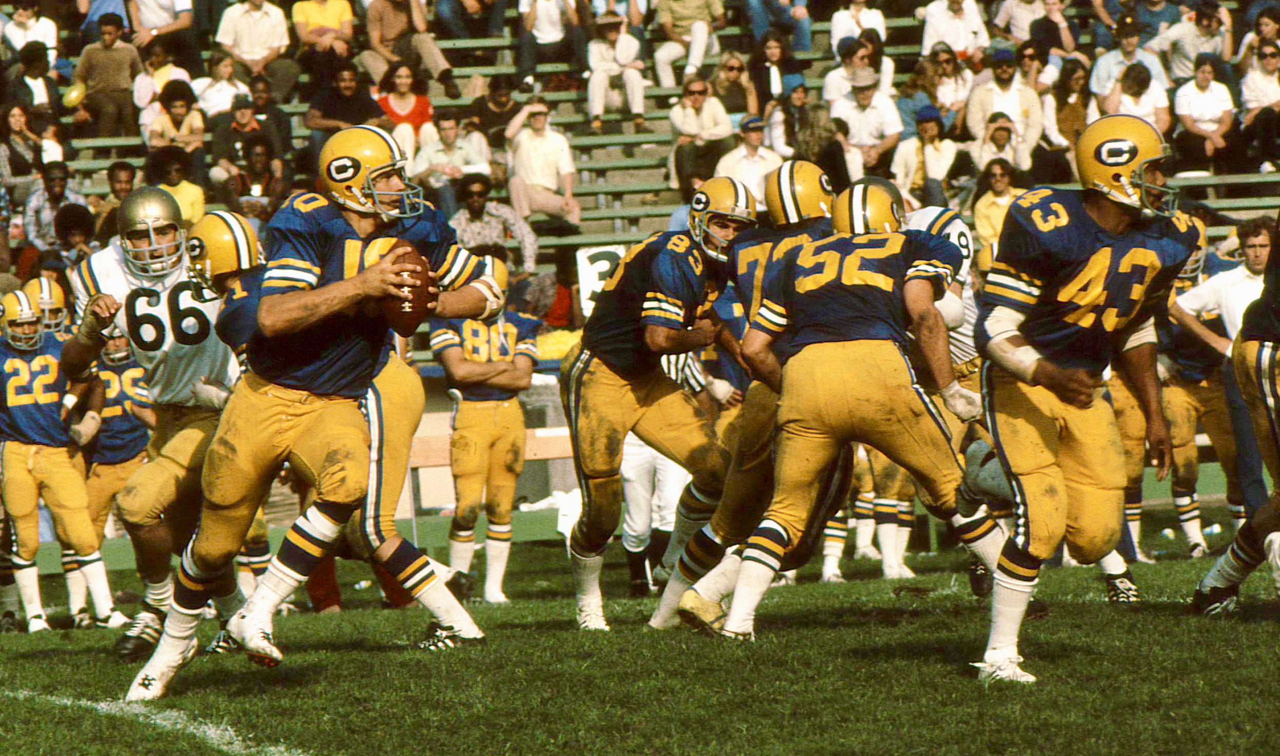 Steve Bartkowski rolls out to pass