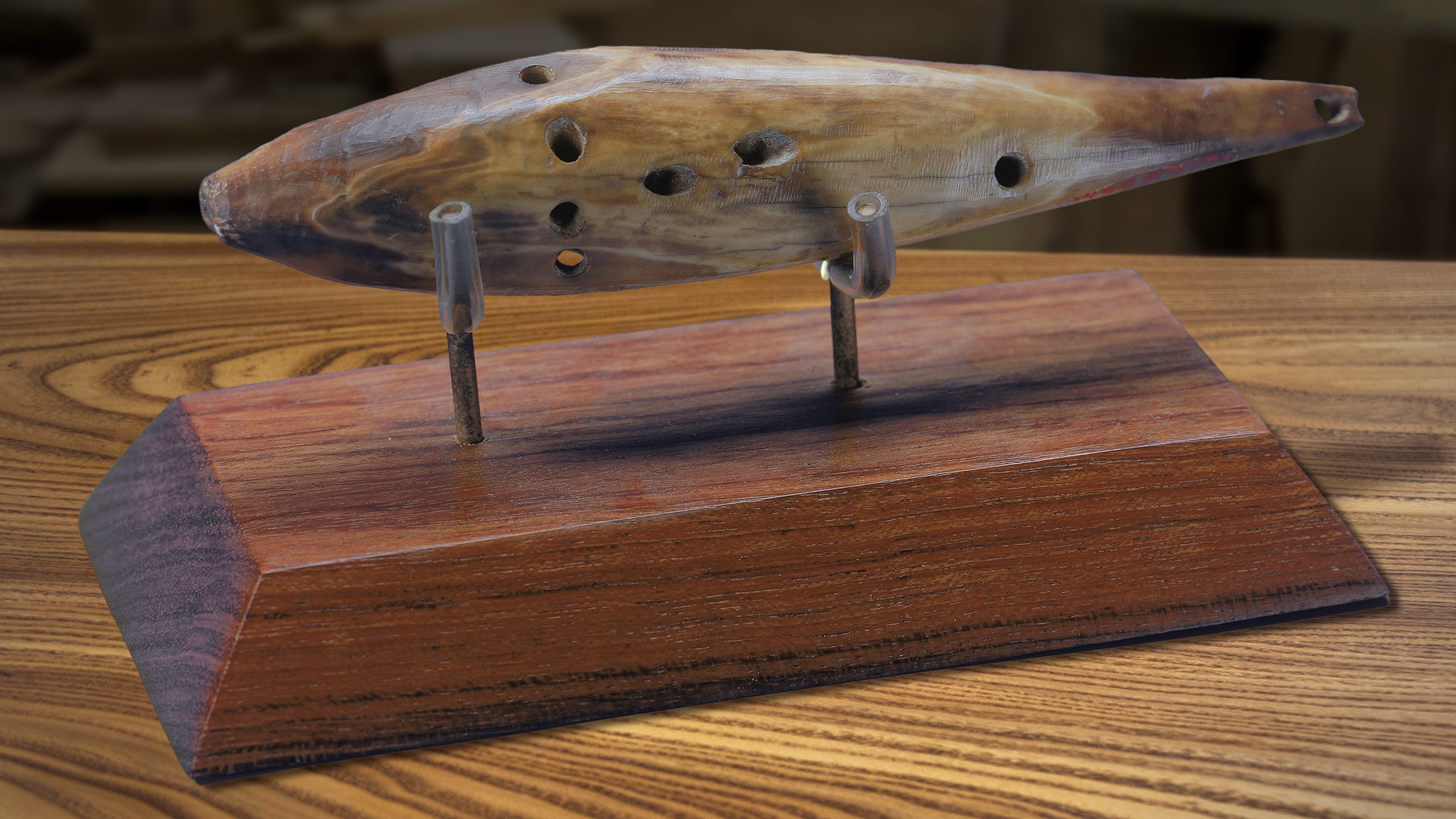 Tabletop view of a native Inuit fish decoy carved from walrus tusk in the early 1800s.