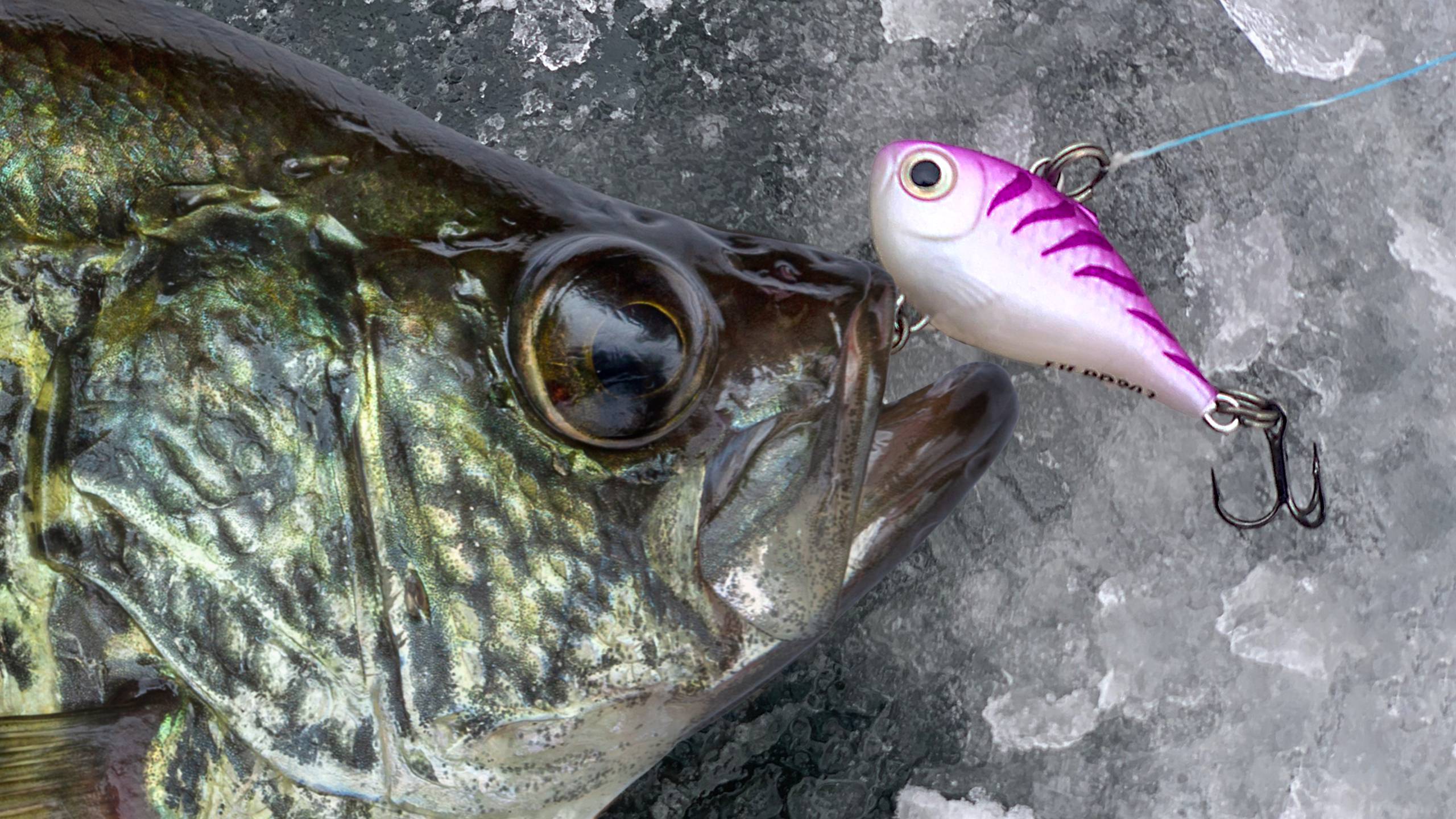 best ice fishing lures for crappie Kit 132pcs Marabou Jigs Spoons Maggots soft plastics 7 Crappie Lures You Can