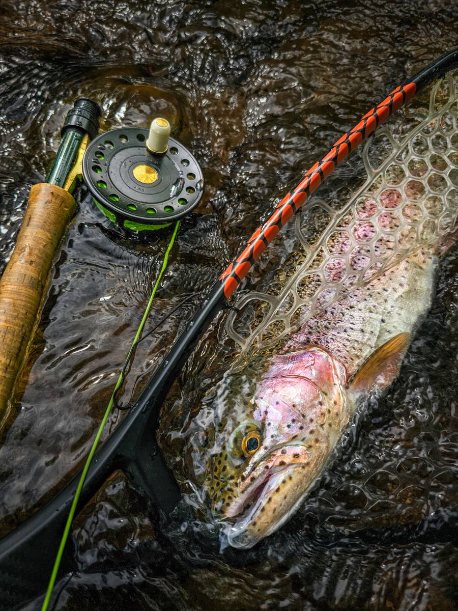 best saltwater fly reels 2017 Fly Fisherman's 2025 Gear Guide Best New Saltwater Fly Reel: