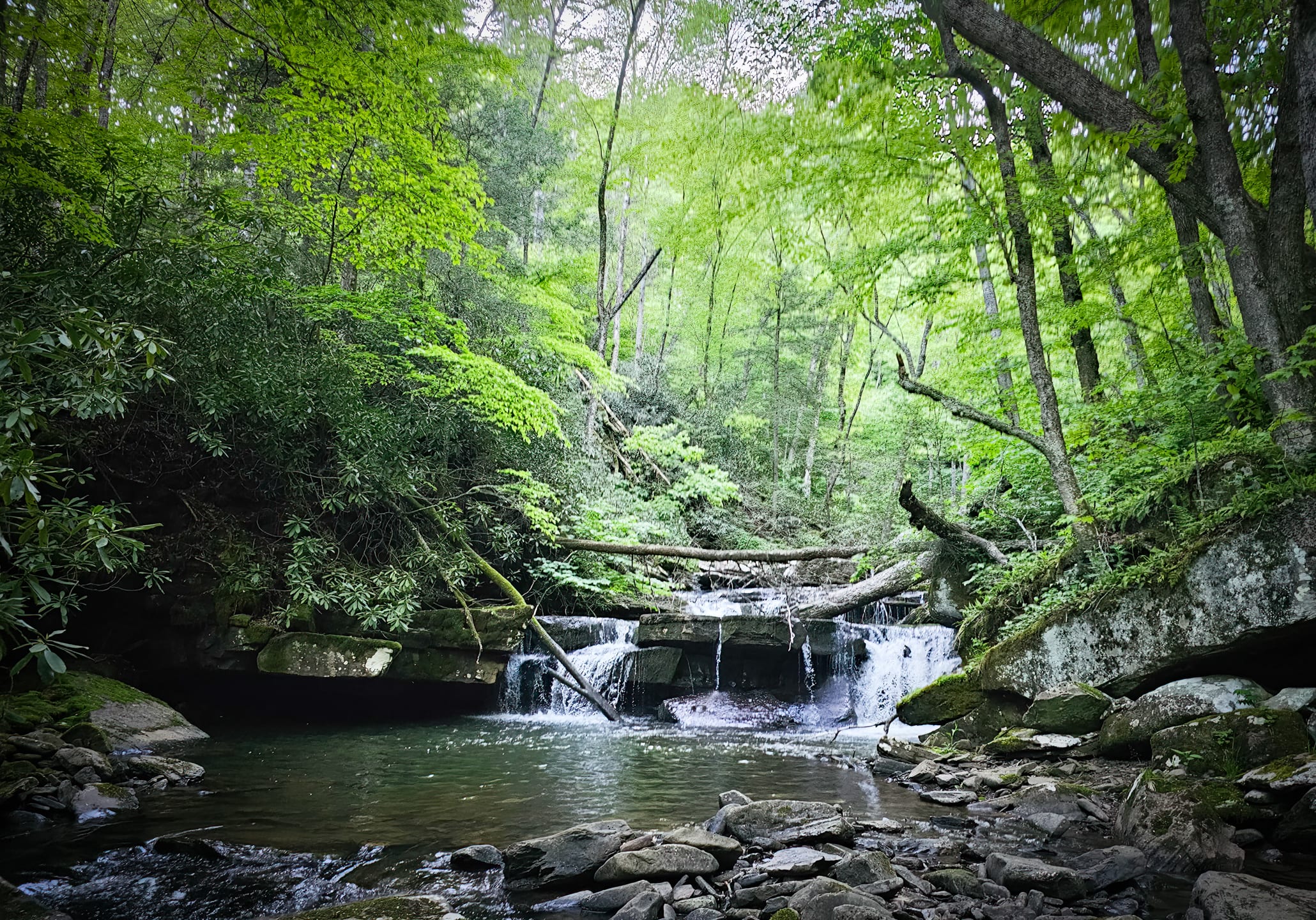 A beautiful pool at the bottom of a small waterfall.