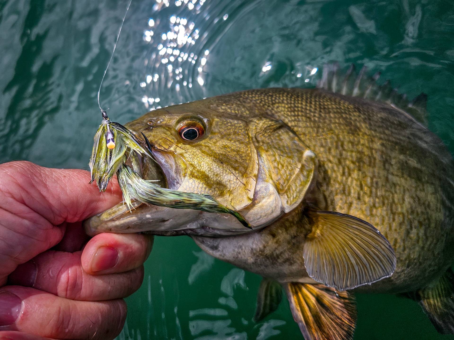 basics of lure fishing How to Fish with Lures