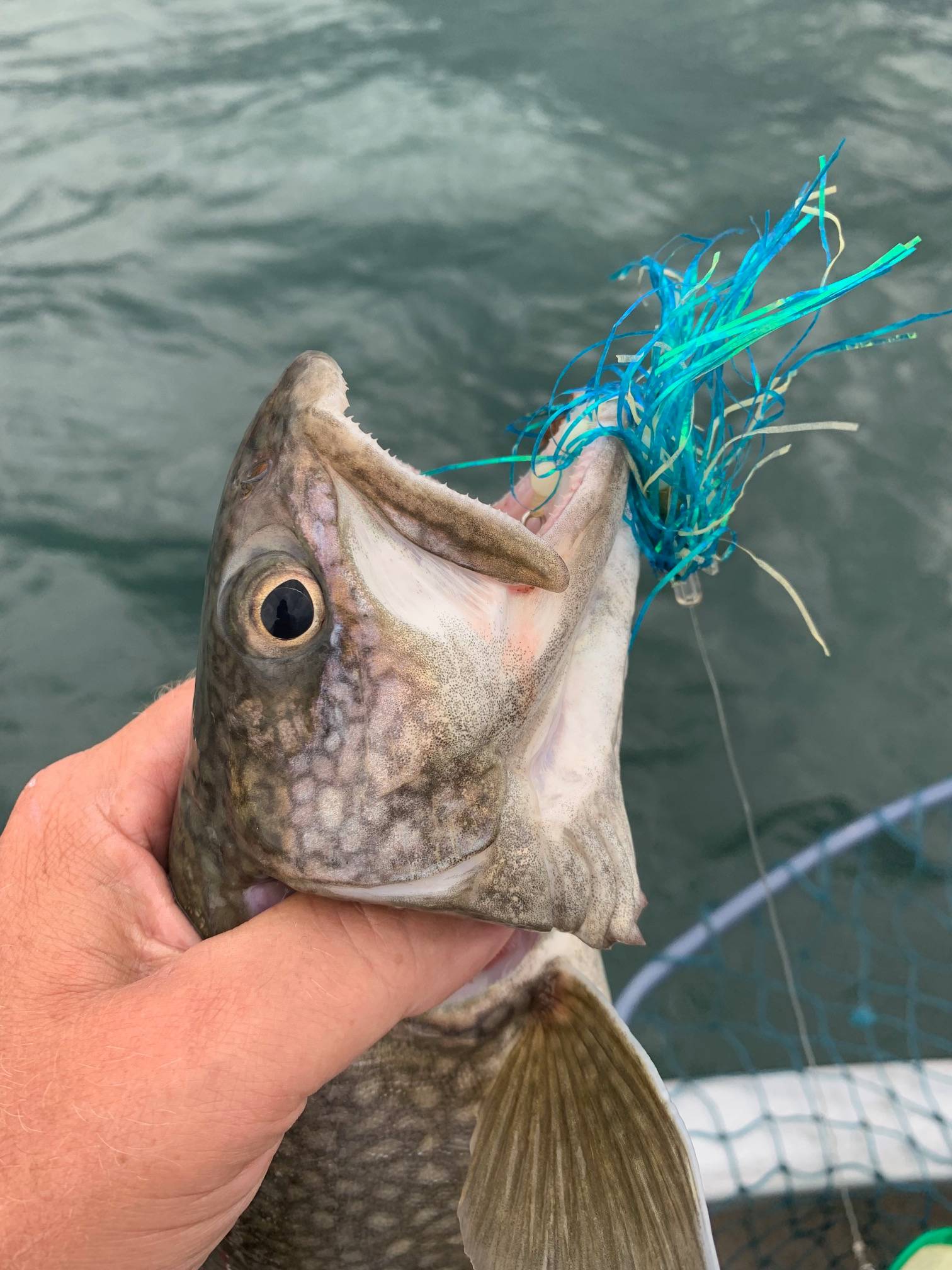 3 Proven Lake Trout Fishing Techniques and the Best Lures for Each 3 Proven Lake Trout Fishing Techniques and the Best Lures for Each